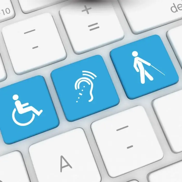 Widget de accesibilitate web instalat pe site, cu opțiuni de personalizare a interfeței pentru utilizatori
